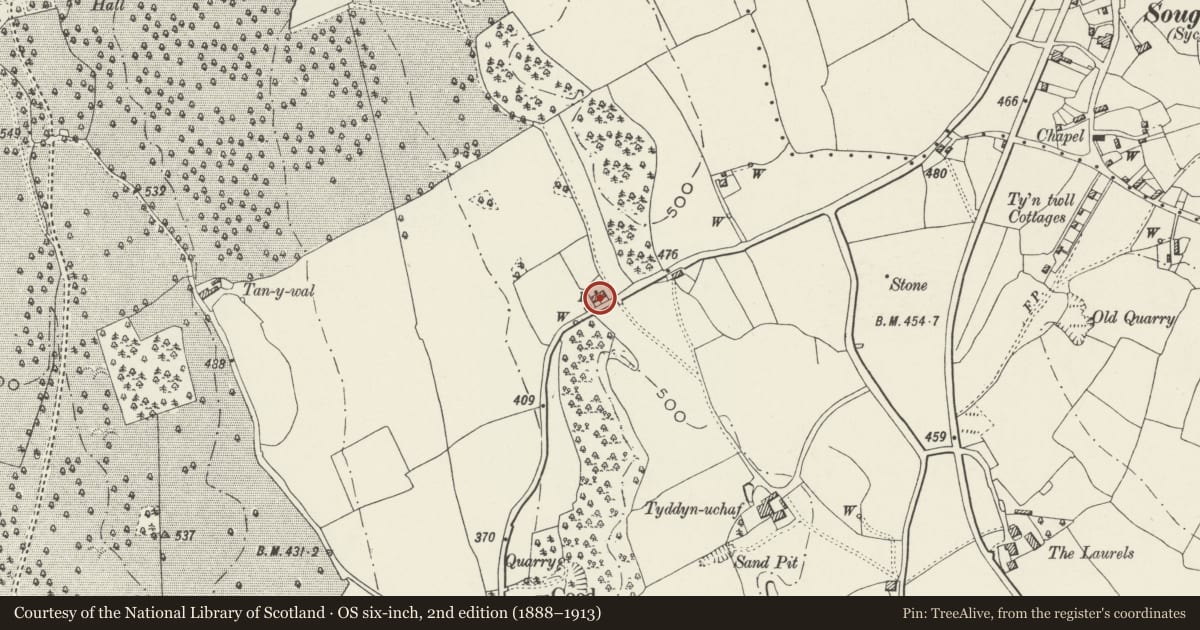 Ordnance Survey six-inch map, 2nd edition (1888–1913) covering the location of Stable at Bryn Tudor, Halkyn, Flintshire, with a pin at the register's coordinates