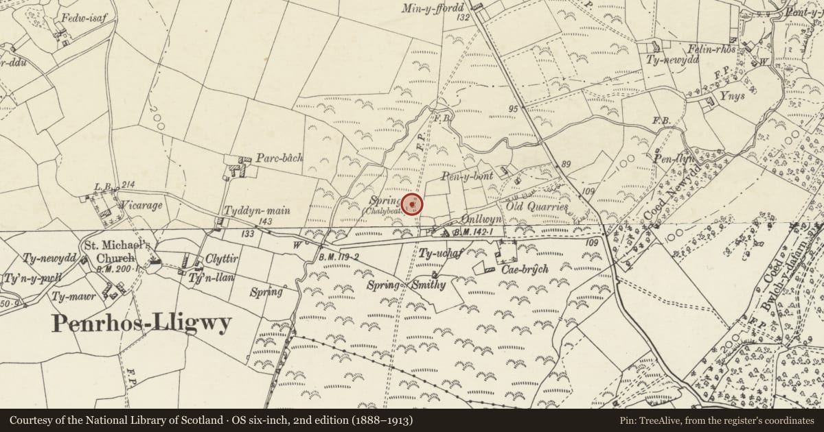 Ordnance Survey six-inch map, 2nd edition (1888–1913) covering the location of Boston Well, Moelfre, Isle of Anglesey, with a pin at the register's coordinates