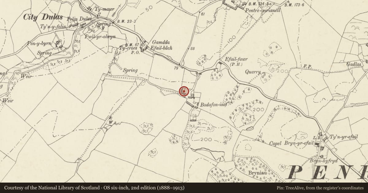 Ordnance Survey six-inch map, 2nd edition (1888–1913) covering the location of Lofted cartshed and cowhouse range at Bodafon Isaf, Moelfre, Isle of Anglesey, with a pin at the register's coordinates