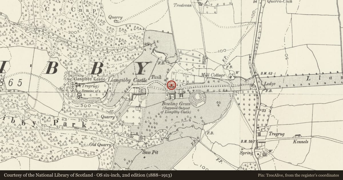 Ordnance Survey six-inch map, 2nd edition (1888–1913) covering the location of North Stable Range at Llangybi Castle Farm, Monmouthshire, with a pin at the register's coordinates