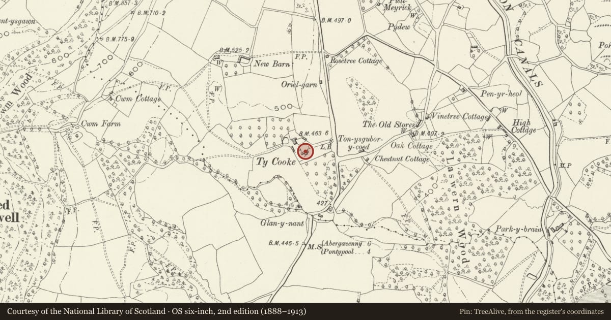 Ordnance Survey six-inch map, 2nd edition (1888–1913) covering the location of Ty-Cooke Farmhouse, Goetre Fawr, Monmouthshire, with a pin at the register's coordinates
