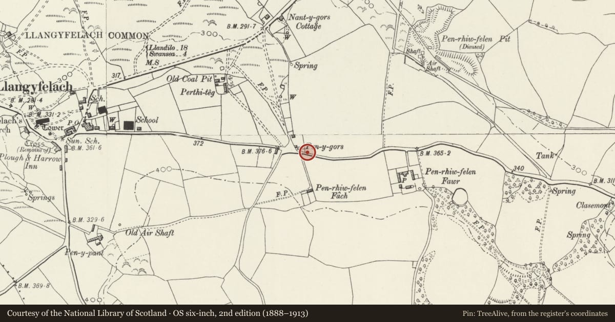 Ordnance Survey six-inch map, 2nd edition (1888–1913) covering the location of Boundary Post, Llangyfelach, Swansea, with a pin at the register's coordinates