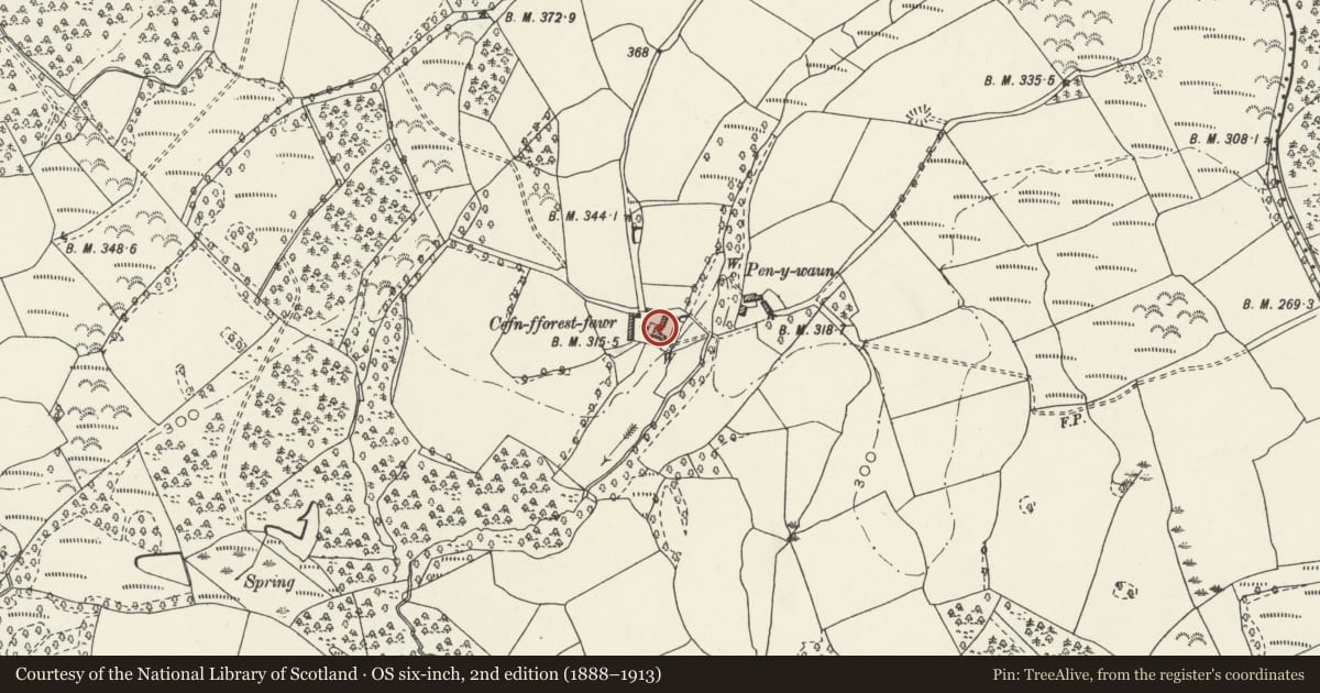 Ordnance Survey six-inch map, 2nd edition (1888–1913) covering the location of Cefnfforest-fawr, Llangyfelach, Swansea, with a pin at the register's coordinates
