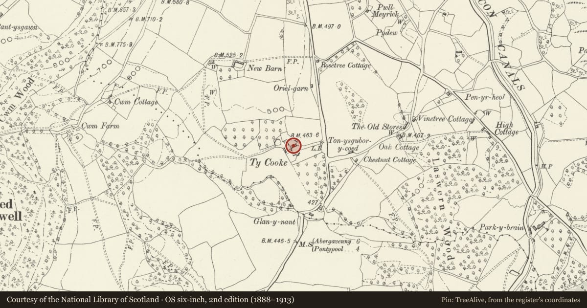 Ordnance Survey six-inch map, 2nd edition (1888–1913) covering the location of Former Farmhouse about 20m to the north of Ty-Cooke Farmhouse, Goetre Fawr, Monmouthshire, with a pin at the register's coordinates