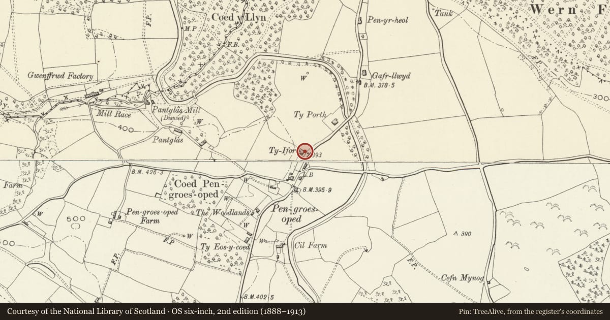 Ordnance Survey six-inch map, 2nd edition (1888–1913) covering the location of Ty-ifor, Goetre Fawr, Monmouthshire, with a pin at the register's coordinates