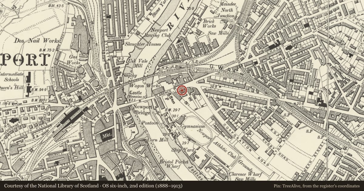 Ordnance Survey six-inch map, 2nd edition (1888–1913) covering the location of Nos.20-34 Clarence Place (evens), Victoria, Newport, with a pin at the register's coordinates