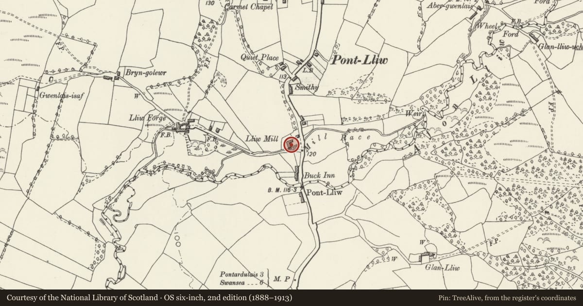 Ordnance Survey six-inch map, 2nd edition (1888–1913) covering the location of Pont Lliw Mill, Pontlliw and Tircoed, Swansea, with a pin at the register's coordinates