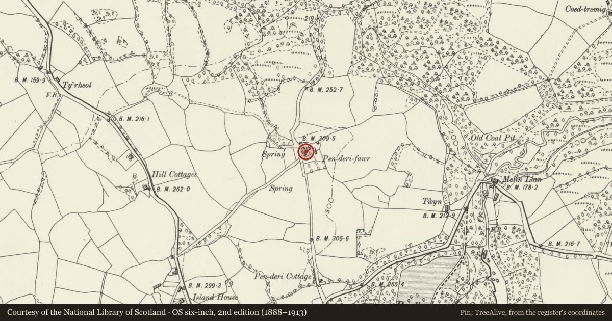 Ordnance Survey six-inch map, 2nd edition (1888–1913) covering the location of Penderi Fawr Farmhouse including attached cowhouse, Pontlliw and Tircoed, Swansea, with a pin at the register's coordinates