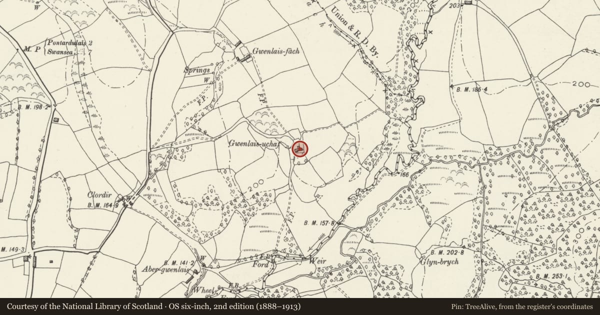 Ordnance Survey six-inch map, 2nd edition (1888–1913) covering the location of Gwenlais-uchaf, Pontlliw and Tircoed, Swansea, with a pin at the register's coordinates