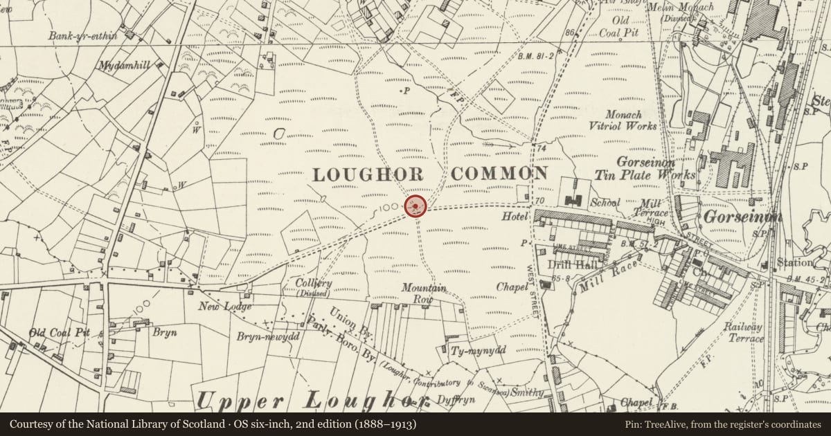 Ordnance Survey six-inch map, 2nd edition (1888–1913) covering the location of War Memorial in grounds of Church of Saint Catherine, Gorseinon, Swansea, with a pin at the register's coordinates