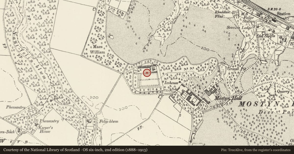 Ordnance Survey six-inch map, 2nd edition (1888–1913) covering the location of Walls to kitchen garden, including gardener's cottage, at Mostyn Hall, Flintshire, with a pin at the register's coordinates