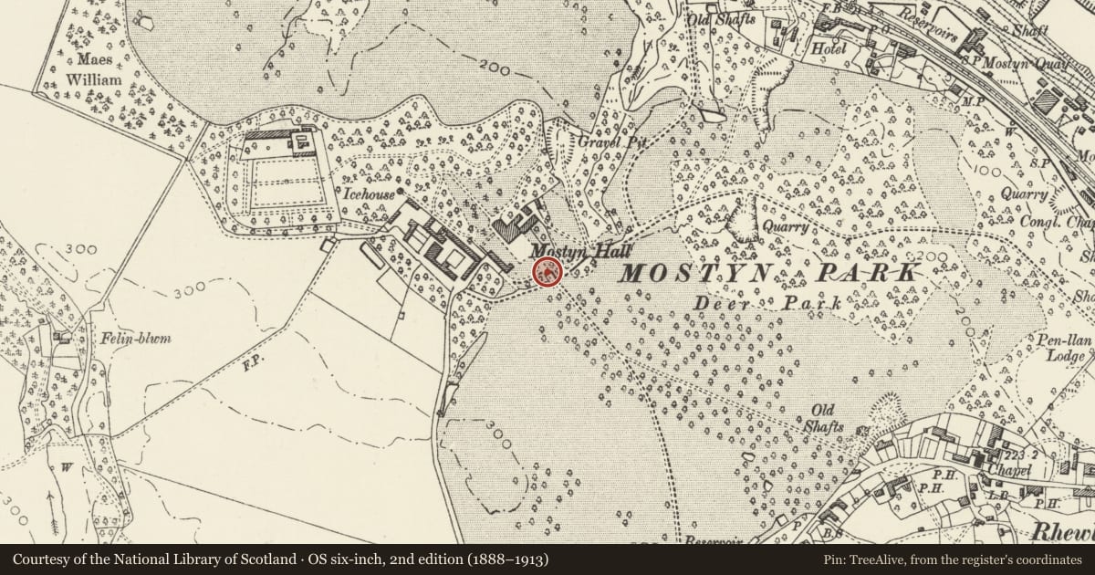 Ordnance Survey six-inch map, 2nd edition (1888–1913) covering the location of Entrance piers, gates and bridge to Mostyn Hall, Flintshire, with a pin at the register's coordinates