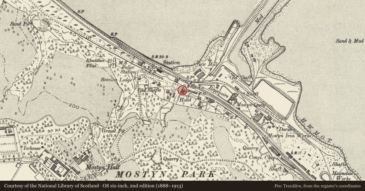 Ordnance Survey six-inch map, 2nd edition (1888–1913) covering the location of Mostyn Lodge Hotel, Flintshire, with a pin at the register's coordinates