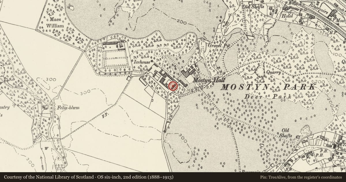 Ordnance Survey six-inch map, 2nd edition (1888–1913) covering the location of Dovecote and adjoining range at Mostyn Hall, Flintshire, with a pin at the register's coordinates