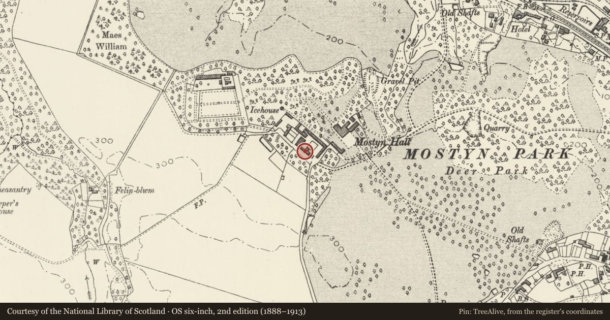 Ordnance Survey six-inch map, 2nd edition (1888–1913) covering the location of South-west Farm Building at Mostyn Hall Farm, Flintshire, with a pin at the register's coordinates