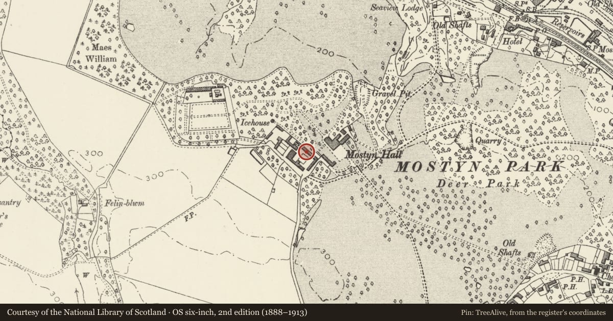 Ordnance Survey six-inch map, 2nd edition (1888–1913) covering the location of North-east Barn at Mostyn Hall Farm with adjoining stable range and flanking wall, Flintshire, with a pin at the register's coordinates