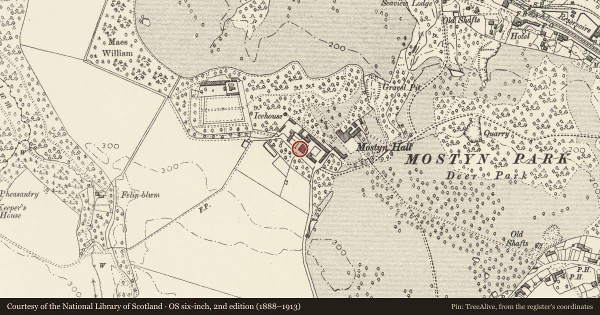 Ordnance Survey six-inch map, 2nd edition (1888–1913) covering the location of North-west Range at Mostyn Hall Farm, Flintshire, with a pin at the register's coordinates