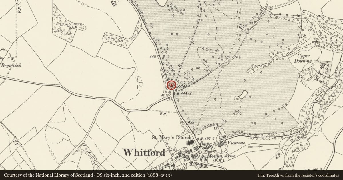 Ordnance Survey six-inch map, 2nd edition (1888–1913) covering the location of Pennsylvania Lodge, Mostyn, Flintshire, with a pin at the register's coordinates