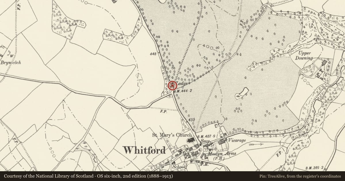 Ordnance Survey six-inch map, 2nd edition (1888–1913) covering the location of Gate piers and flanking walls at Pennsylvania Lodge, Mostyn, Flintshire, with a pin at the register's coordinates