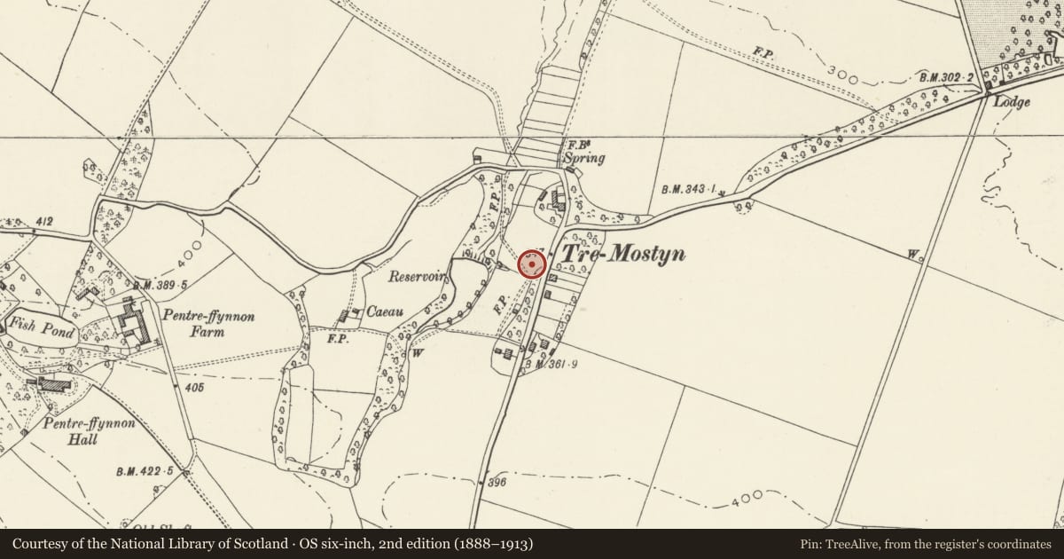 Ordnance Survey six-inch map, 2nd edition (1888–1913) covering the location of 1 Lloyds Crescent, Mostyn, Flintshire, with a pin at the register's coordinates