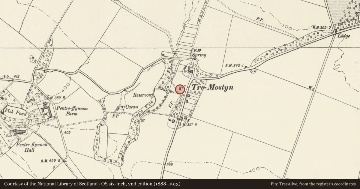 Ordnance Survey six-inch map, 2nd edition (1888–1913) covering the location of 2 Lloyds Crescent, Mostyn, Flintshire, with a pin at the register's coordinates