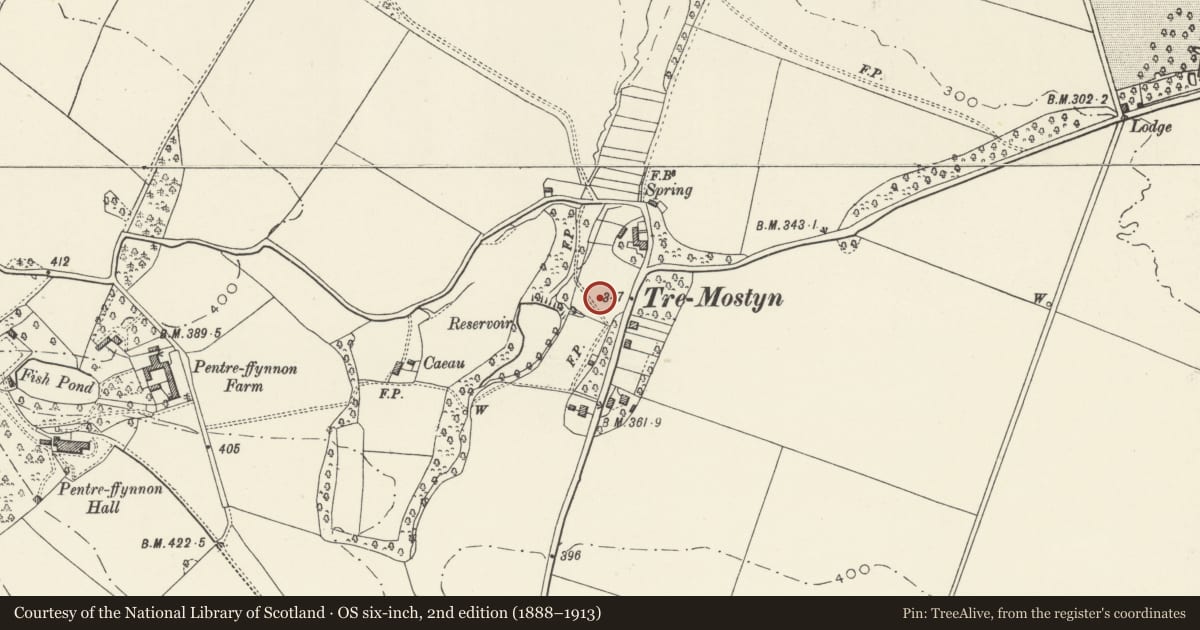 Ordnance Survey six-inch map, 2nd edition (1888–1913) covering the location of 3 Lloyds Crescent, Mostyn, Flintshire, with a pin at the register's coordinates