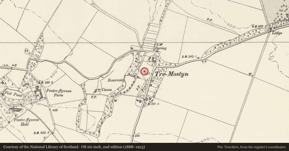 Ordnance Survey six-inch map, 2nd edition (1888–1913) covering the location of 4 Lloyds Crescent, Mostyn, Flintshire, with a pin at the register's coordinates