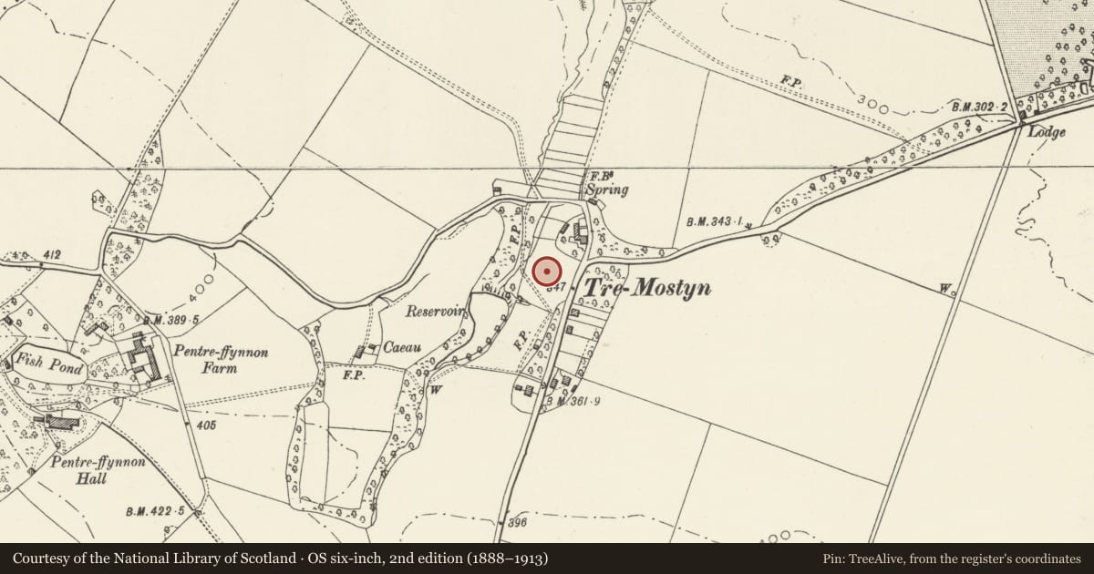 Ordnance Survey six-inch map, 2nd edition (1888–1913) covering the location of 5 Lloyds Crescent, Mostyn, Flintshire, with a pin at the register's coordinates