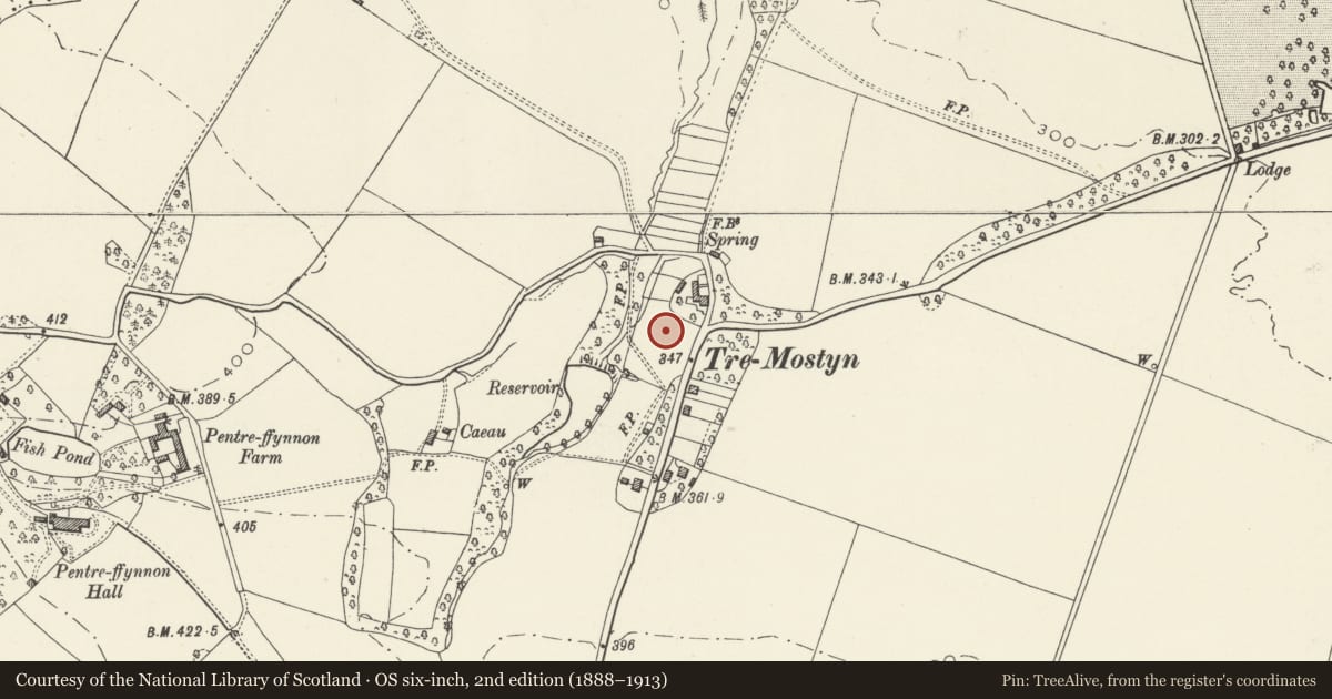 Ordnance Survey six-inch map, 2nd edition (1888–1913) covering the location of 6 Lloyds Crescent, Mostyn, Flintshire, with a pin at the register's coordinates