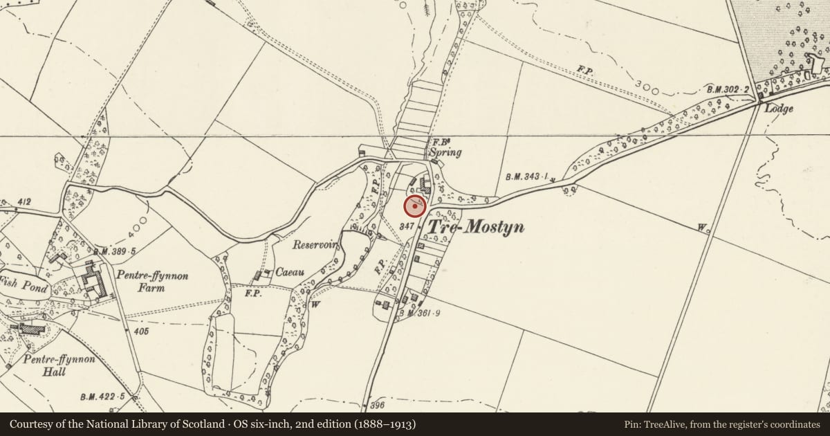 Ordnance Survey six-inch map, 2nd edition (1888–1913) covering the location of 8 Lloyds Crescent, Mostyn, Flintshire, with a pin at the register's coordinates