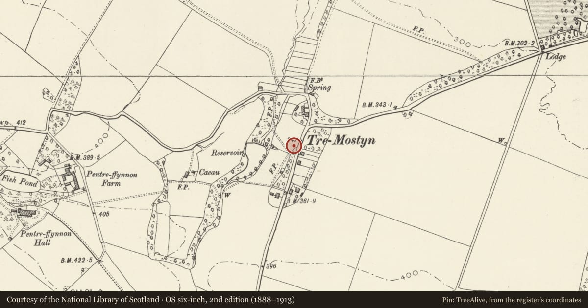 Ordnance Survey six-inch map, 2nd edition (1888–1913) covering the location of Telephone Call-box at Tre-Mostyn, Flintshire, with a pin at the register's coordinates