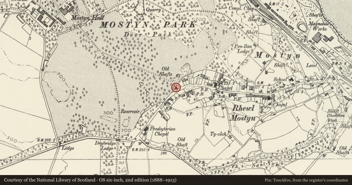 Ordnance Survey six-inch map, 2nd edition (1888–1913) covering the location of Ivy House, Mostyn, Flintshire, with a pin at the register's coordinates