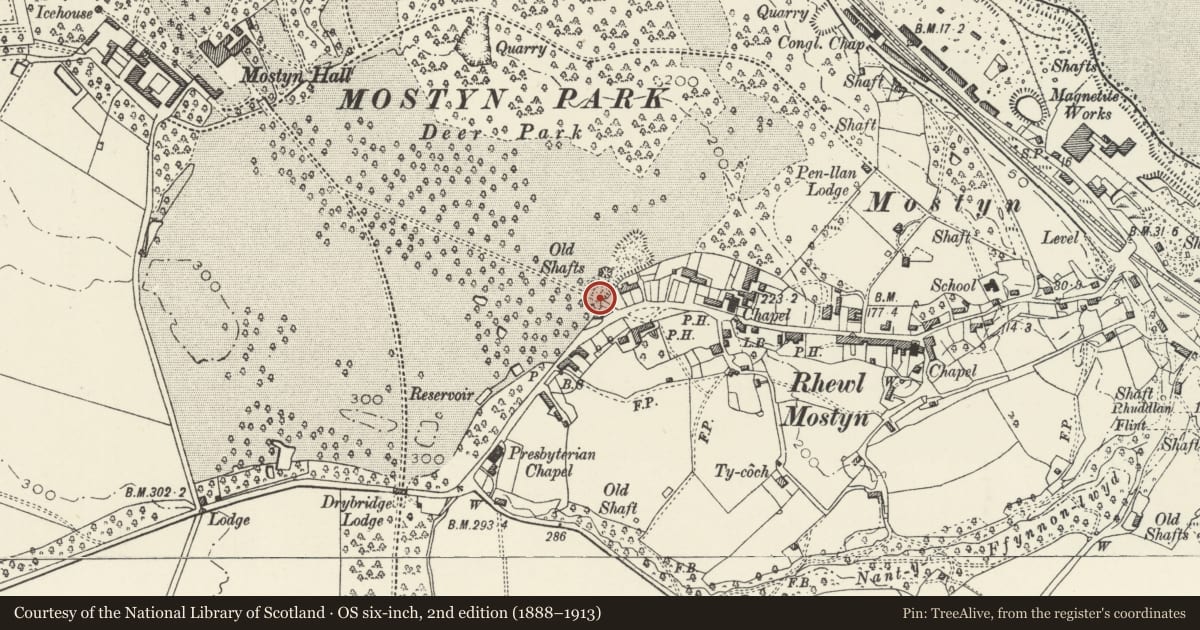 Ordnance Survey six-inch map, 2nd edition (1888–1913) covering the location of Gate piers and gates at rear of Ivy House, Mostyn, Flintshire, with a pin at the register's coordinates