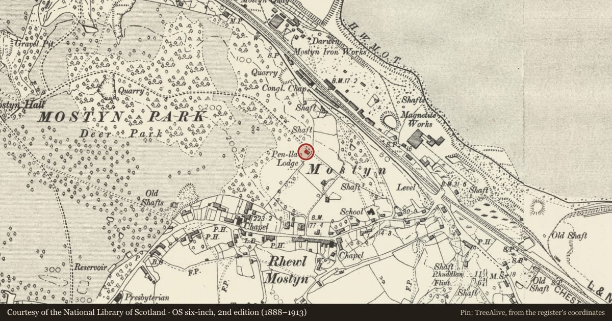 Ordnance Survey six-inch map, 2nd edition (1888–1913) covering the location of Penlan Lodge, Mostyn, Flintshire, with a pin at the register's coordinates