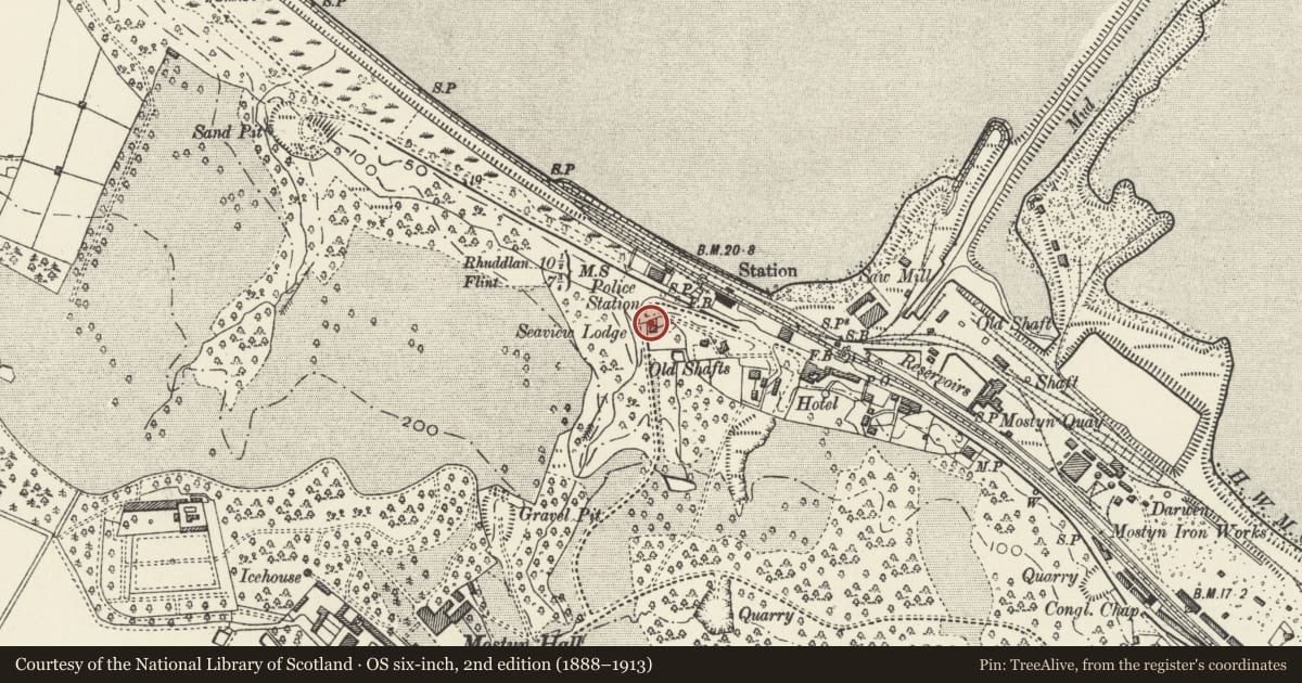 Ordnance Survey six-inch map, 2nd edition (1888–1913) covering the location of Seaview Lodge, Mostyn, Flintshire, with a pin at the register's coordinates