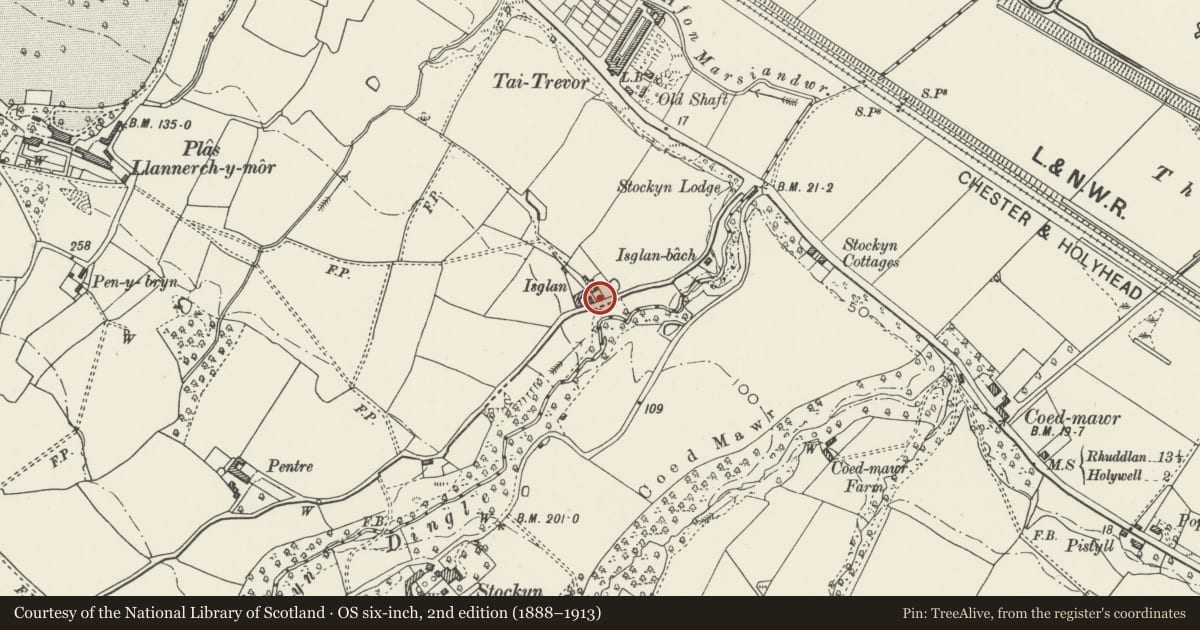 Ordnance Survey six-inch map, 2nd edition (1888–1913) covering the location of Gate piers and garden wall at Isglan Farm, Mostyn, Flintshire, with a pin at the register's coordinates