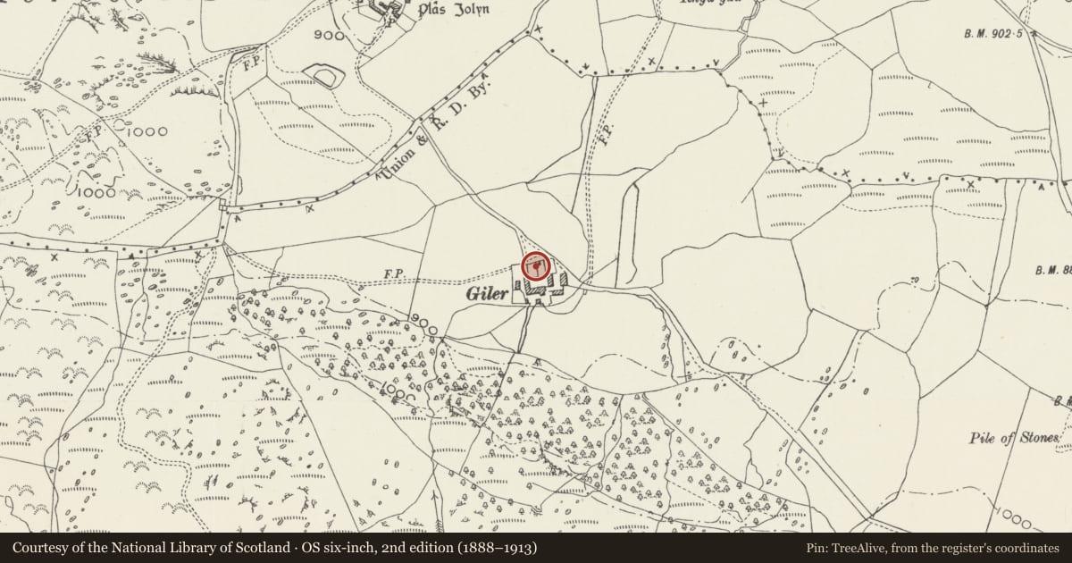 Ordnance Survey six-inch map, 2nd edition (1888–1913) covering the location of Gatehouse at Gilar, with attached courtyard walls, Pentrefoelas, Conwy, with a pin at the register's coordinates