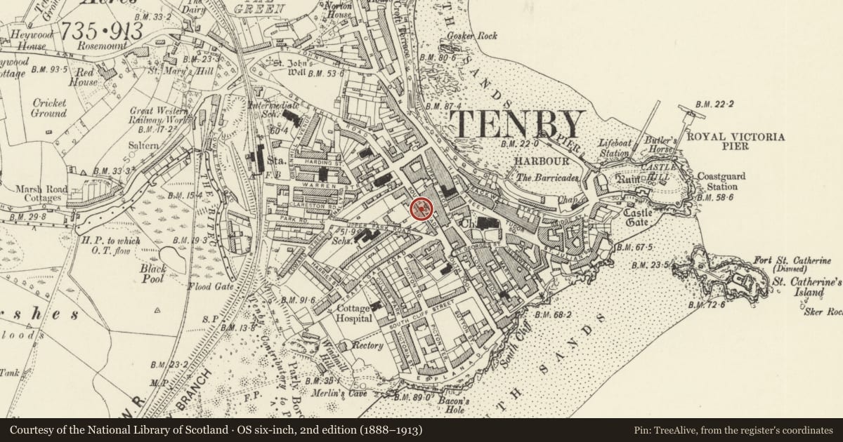 Ordnance Survey six-inch map, 2nd edition (1888–1913) covering the location of Nyth, Tenby, Pembrokeshire, with a pin at the register's coordinates