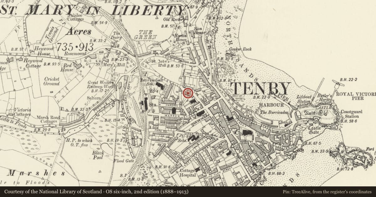 Ordnance Survey six-inch map, 2nd edition (1888–1913) covering the location of No 10 Deer Park (Croyland) and railings, Tenby, Pembrokeshire, with a pin at the register's coordinates