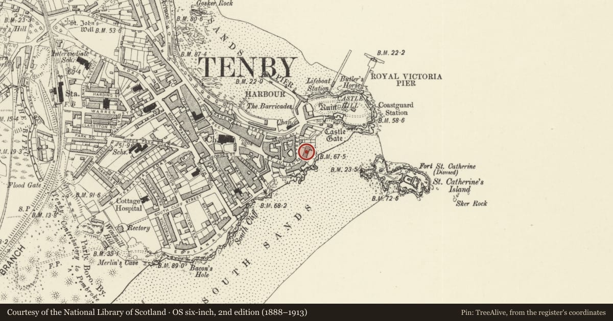 Ordnance Survey six-inch map, 2nd edition (1888–1913) covering the location of No 3 Lexden Terrace, Tenby, Pembrokeshire, with a pin at the register's coordinates