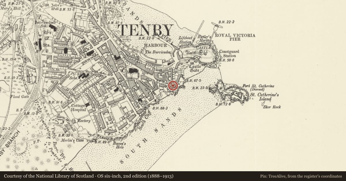 Ordnance Survey six-inch map, 2nd edition (1888–1913) covering the location of No 2 Rock Houses, Tenby, Pembrokeshire, with a pin at the register's coordinates