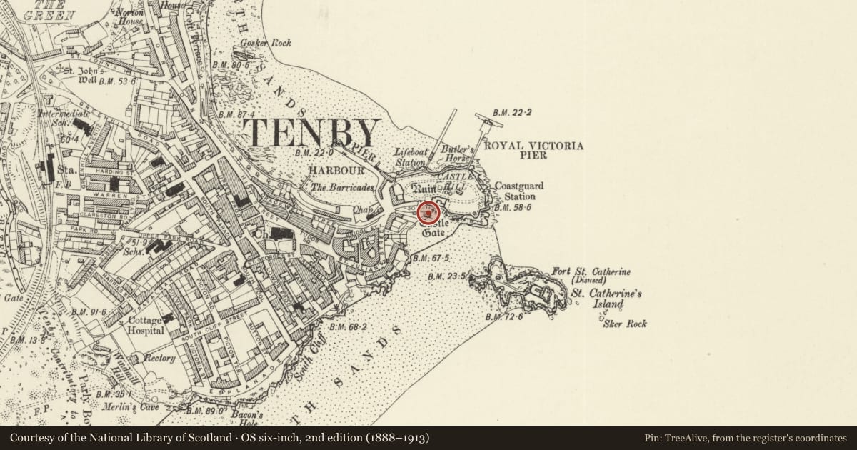 Ordnance Survey six-inch map, 2nd edition (1888–1913) covering the location of Former Lifeboat House, Tenby, Pembrokeshire, with a pin at the register's coordinates