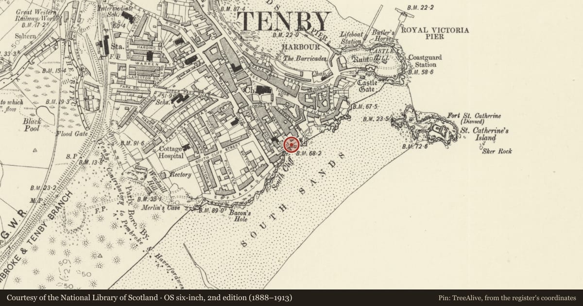 Ordnance Survey six-inch map, 2nd edition (1888–1913) covering the location of Railings, gates and piers, and retaining wall along cliff edge, Tenby, Pembrokeshire, with a pin at the register's coordinates