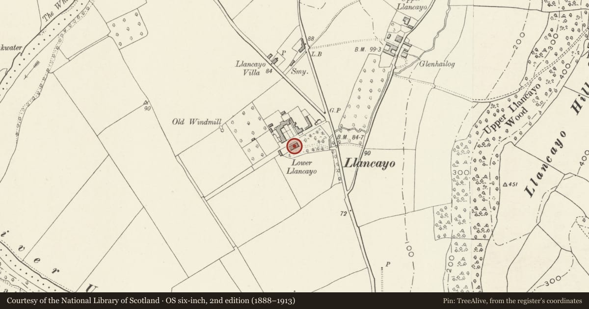 Ordnance Survey six-inch map, 2nd edition (1888–1913) covering the location of Llancayo House, Llanarth, Monmouthshire, with a pin at the register's coordinates