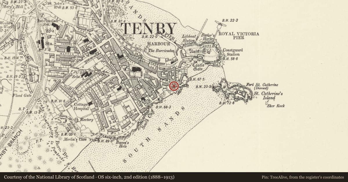 Ordnance Survey six-inch map, 2nd edition (1888–1913) covering the location of No 4 Rock Terrace, Tenby, Pembrokeshire, with a pin at the register's coordinates