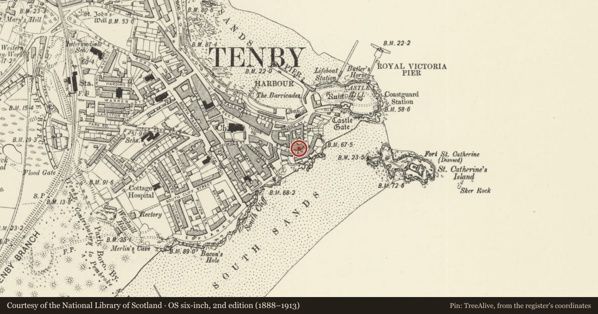 Ordnance Survey six-inch map, 2nd edition (1888–1913) covering the location of No 2 Lansdowne Cottages, Tenby, Pembrokeshire, with a pin at the register's coordinates