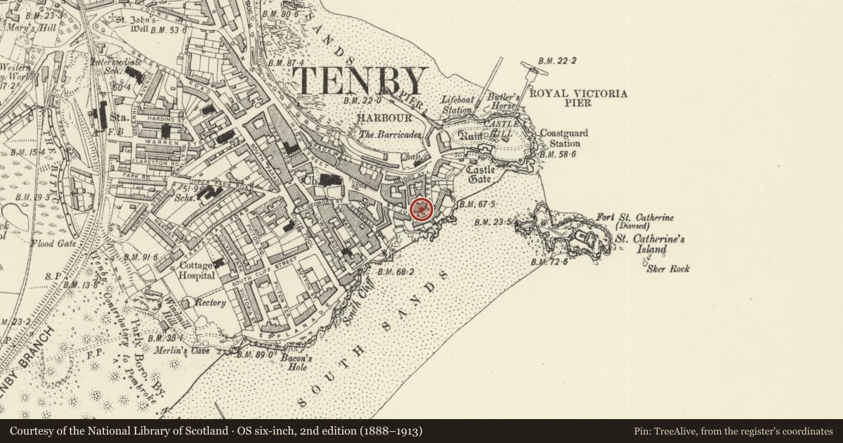 Ordnance Survey six-inch map, 2nd edition (1888–1913) covering the location of No 3 Lansdowne Cottages, Tenby, Pembrokeshire, with a pin at the register's coordinates