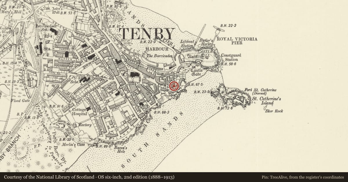 Ordnance Survey six-inch map, 2nd edition (1888–1913) covering the location of No 5 Lansdowne Cottages, Tenby, Pembrokeshire, with a pin at the register's coordinates