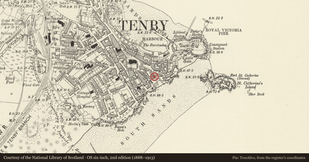 Ordnance Survey six-inch map, 2nd edition (1888–1913) covering the location of No 1 Ivy Cottages, Tenby, Pembrokeshire, with a pin at the register's coordinates