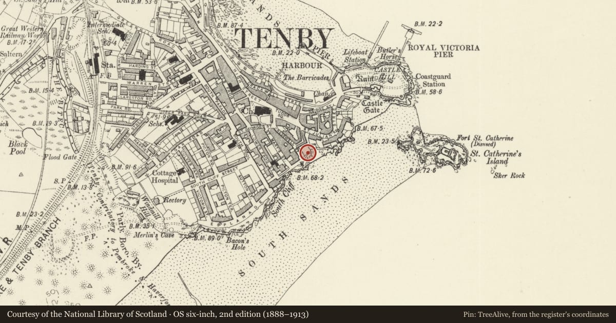 Ordnance Survey six-inch map, 2nd edition (1888–1913) covering the location of Garden wall to Nos 1-3 Ivy Cottages, Tenby, Pembrokeshire, with a pin at the register's coordinates